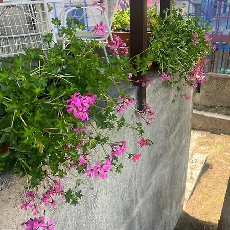 Casa Regina Apartament *